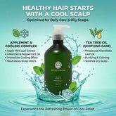 Nature's Dazzle Applemint Shampoo infographic highlighting Tea Tree Oil and Peppermint benefits for oily scalps and cooling relief