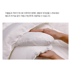 Sesa allergy-care Intance Downfill Bed Comforter 인텐스 다운필 차렵이불