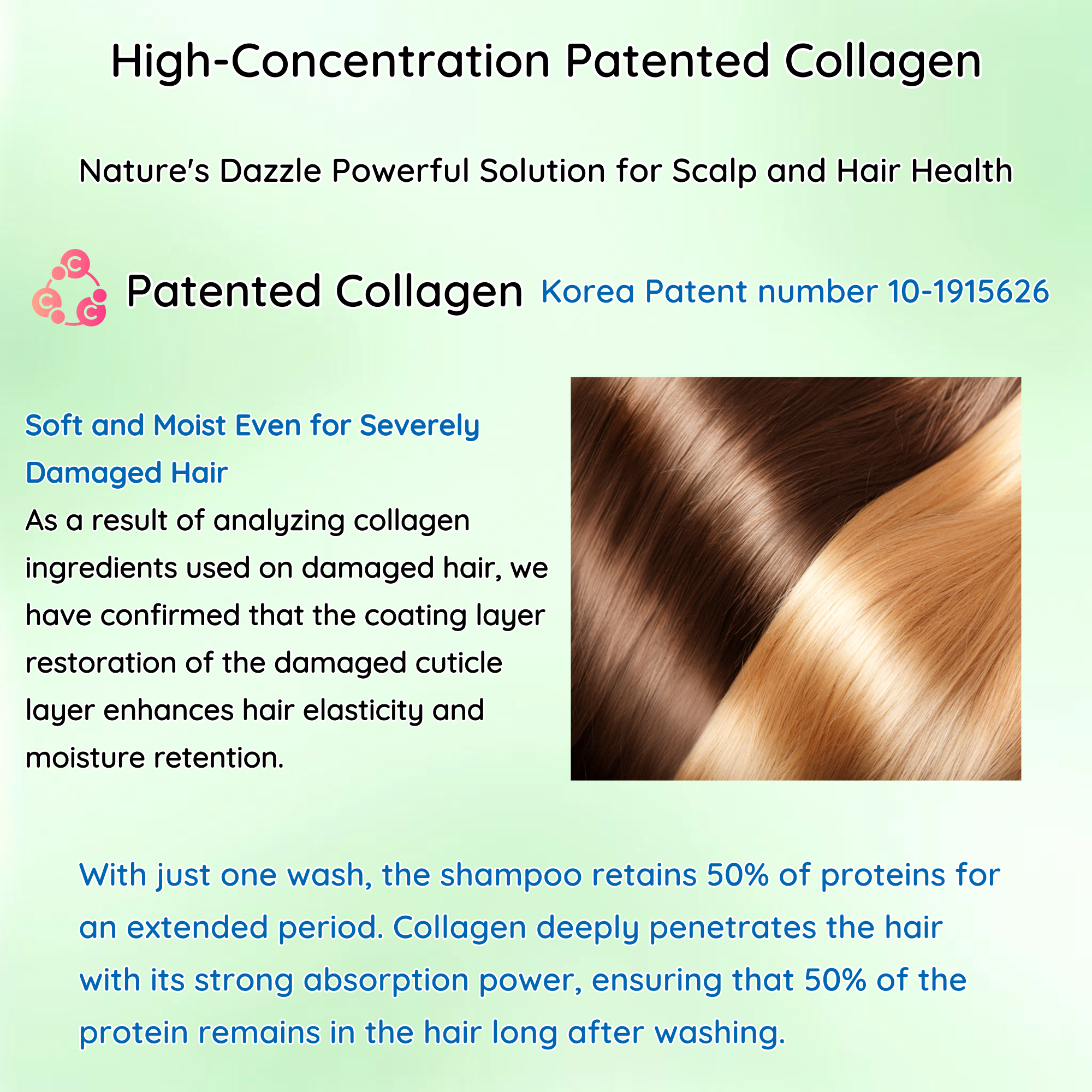 Applemint Scalp Shampoo – Sebum Control & Refreshing Care