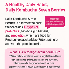 Daily Kombucha Sevenberry Tea