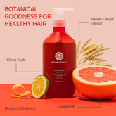 Nature's Dazzle Citrus Brew Shampoo Infused with Biotin – Revitalize & Strengthen All Hair Types | Paraben-Free, Sulfate-Free, Silicon-Free, 16.9 fl oz