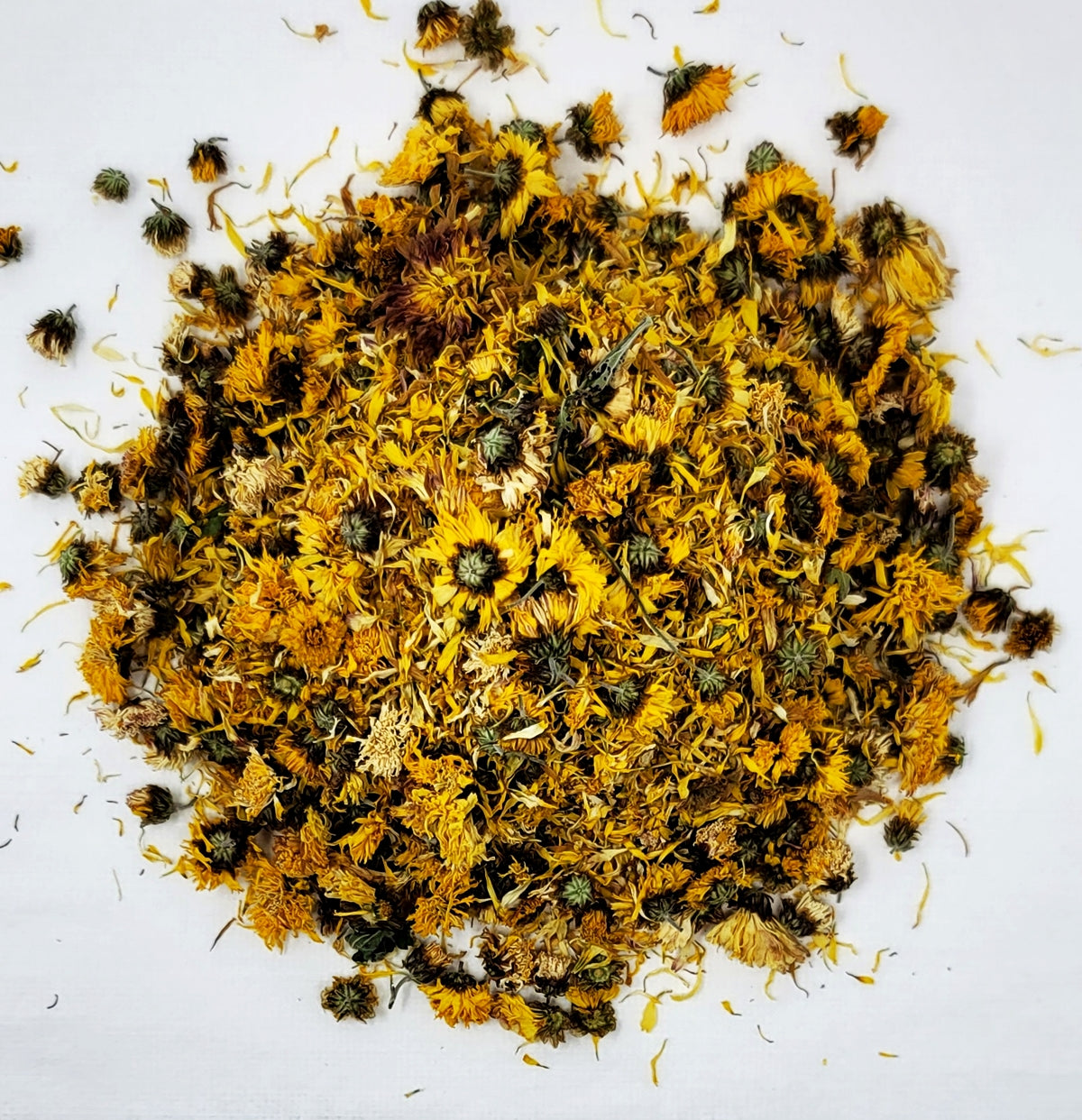 korean Chrysanthemum Flower01