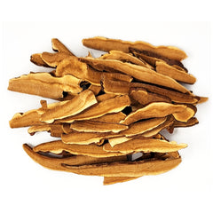 Korean Reishi  Mushroom