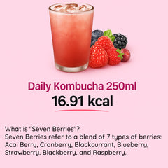 Daily Kombucha Sevenberry Tea
