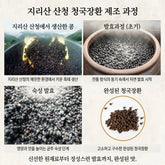 Stages of black radish cultivation process in a natural setting with text in Korean.
