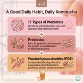 다농원 데일리 콤부차 장 건강 혜택 인포그래픽. Infographic detailing the health benefits of Danongwon Daily Kombucha, highlighting 17 types of probiotics for gut health.