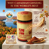 Infographic of Sahm Canadian Red Ginseng Powder titled 'Why Canadian Ginseng is the World's Best', highlighting 6-year-old Ontario harvest, US and Canada pesticide-free certification, and 100% natural purity.