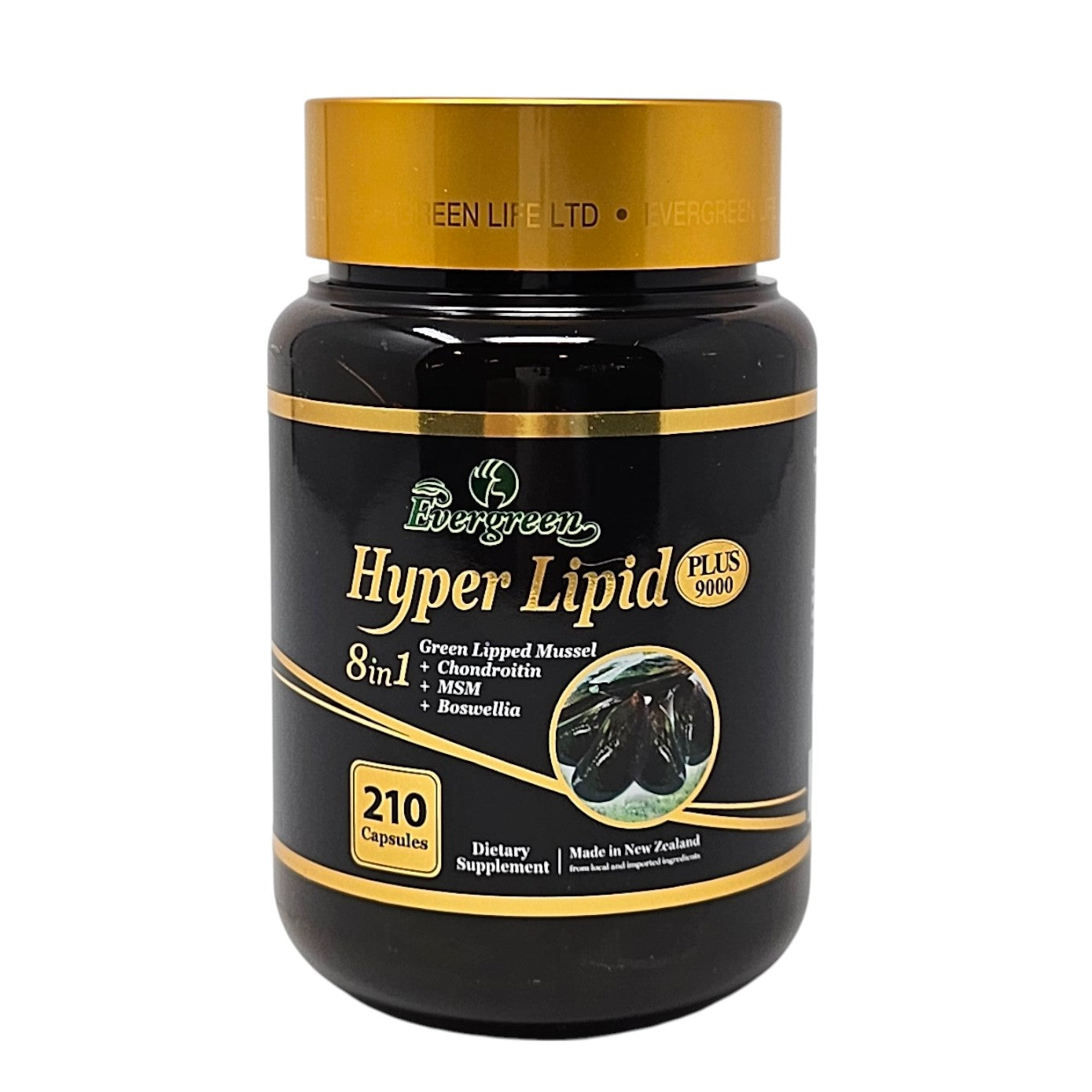 Evergreen Hyper Lipid 210 capsules – green-lipped mussel joint support