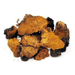 Alaska Chaga Mushroom 5.25oz /149g 차가버섯