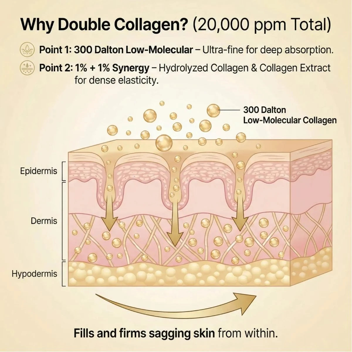 Diagram of skin layers with Double Collagen product application, highlighting its benefits.