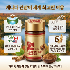 삼(Sahm) 캐나다 홍삼 분말 120g 인포그래픽 - 온타리오 재배, 6년근 가을 수확, 미/캐나다 무농약 인증 정보.