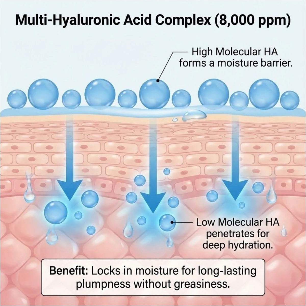 Diagram of Multi-Hyaluronic Acid Complex with labeled components and benefits on a skin layer background.