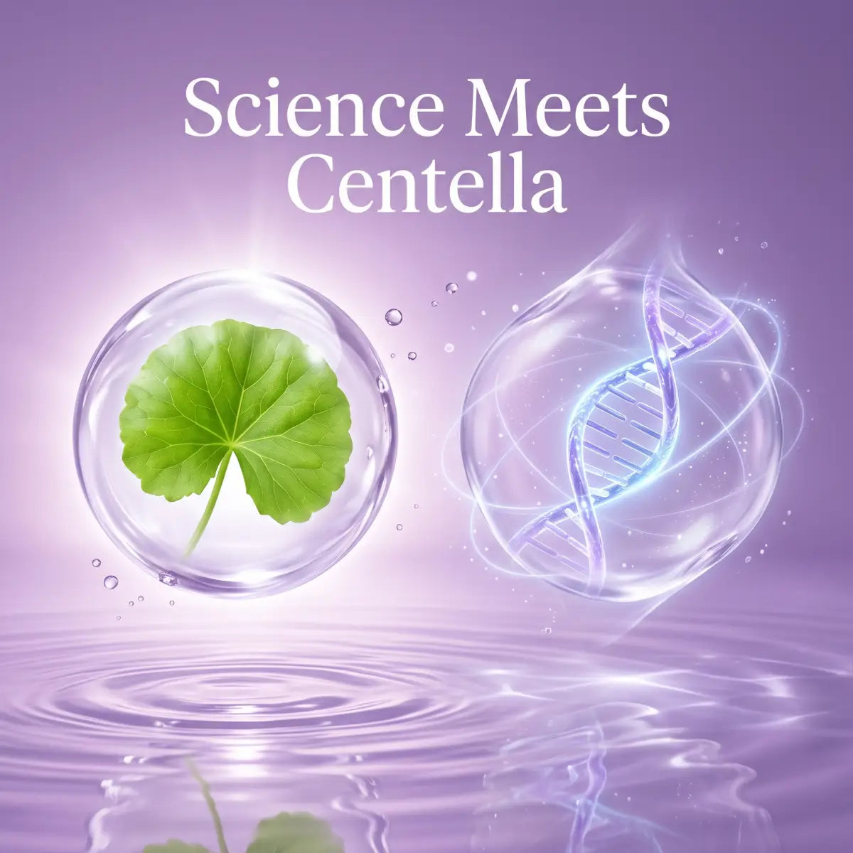 Science Meets Centella TECA-PDRN formula diagram for Centellian24 Madeca Cream
