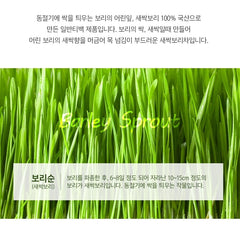 Ssanggye Barley Sprout Tea/ 쌍계명차 새싹보리