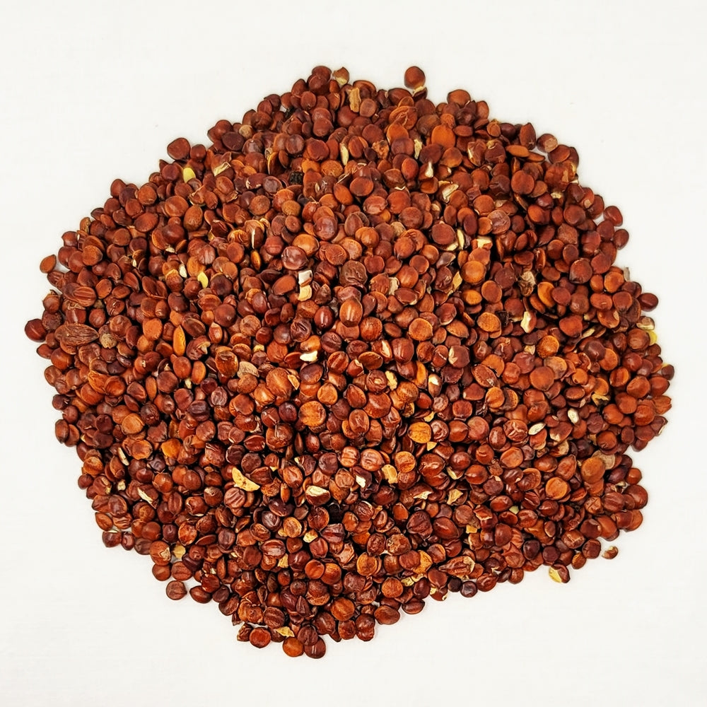 Korean sour jujube seed 5.25 oz (150 g) pack — dried Zizyphus jujuba seeds close-up