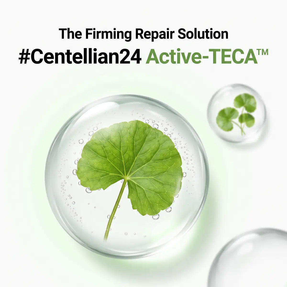 Centellian24 Active-TECA brand graphic with a centella asiatica leaf inside a water drop