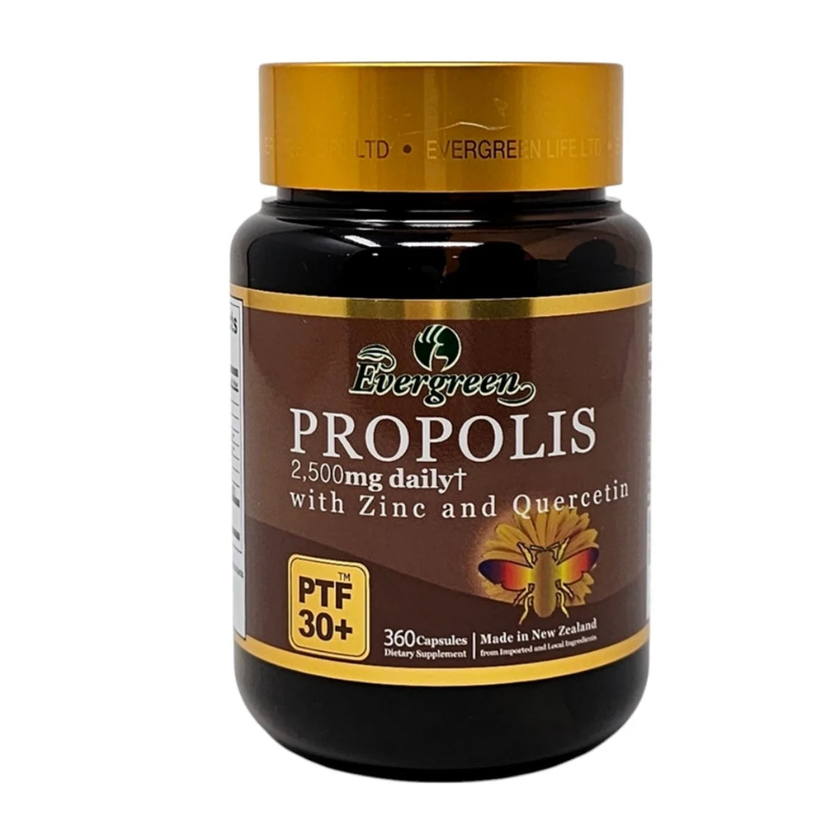Evergreen Propolis Capsules (PTF 30+ with zinc and quercetin) — 360-capsule bottle, front label — New Zealand brand (프로폴리스)