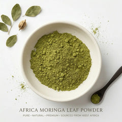 A white bowl filled with vibrant green Herb & Honey Africa Moringa Leaf Powder, accompanied by a black spoon and fresh leaves on a clean white background.