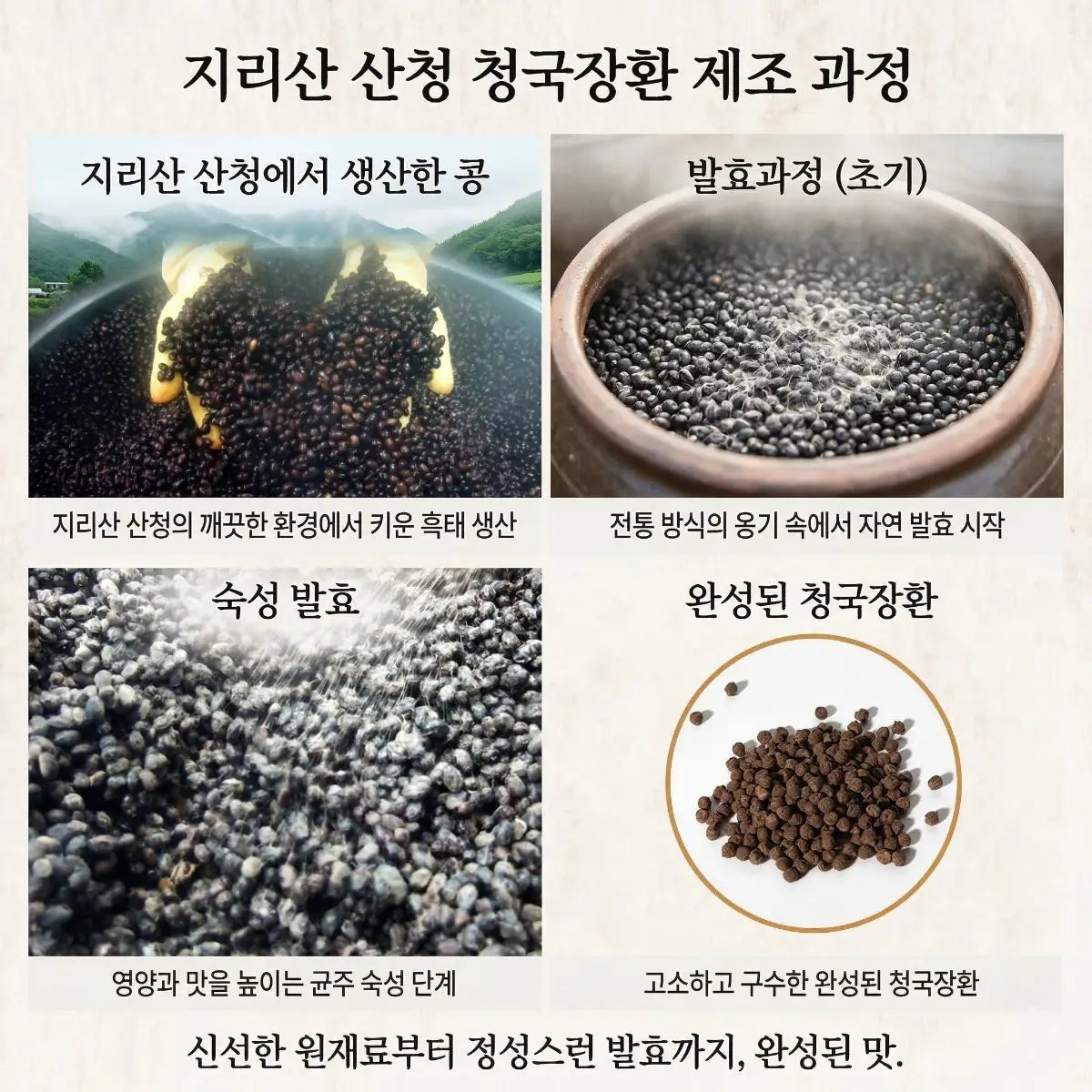 Korean black bean cheonggukjang — infographic of black soybeans fermented and rolled into small pills