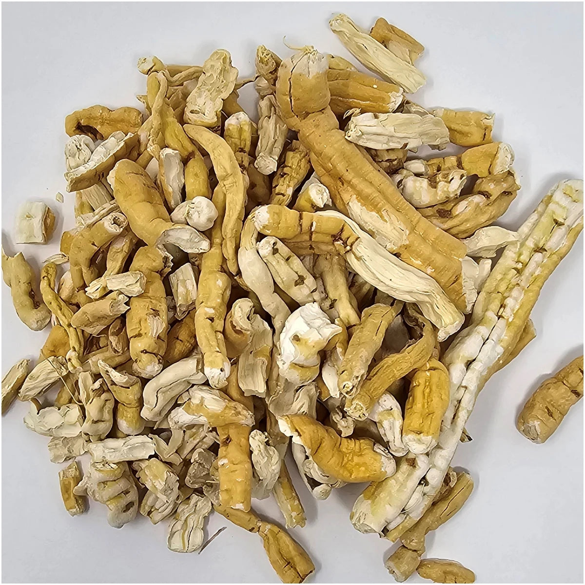 A close-up of premium, sun-dried Fo-Ti roots. 100% pure and unprocessed ingredients for your traditional wellness routine.