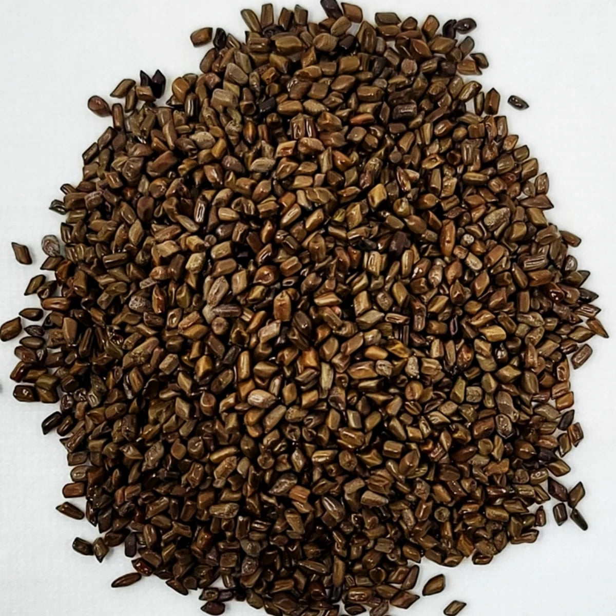 Detailed view of raw dried Jue Ming Zi seeds for natural cooling herbal remedies and wellness