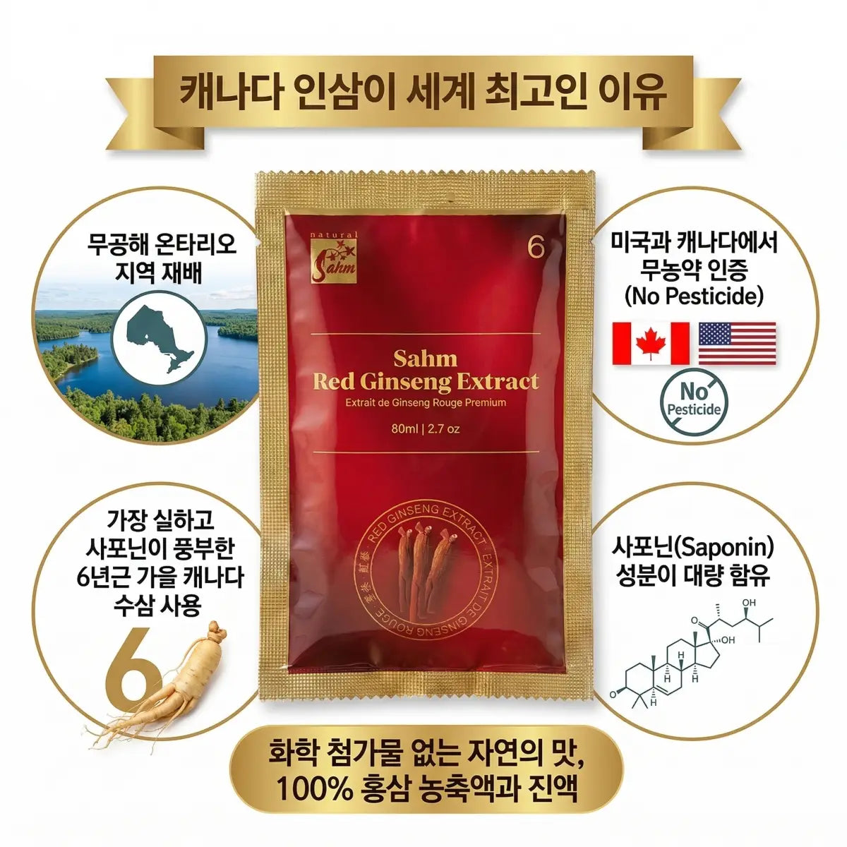 Infographic of Sahm Canadian Red Ginseng Extract highlighting: 6-year-old Ontario harvest, US and Canada pesticide-free certification, high saponin (ginsenoside) content, and 100% pure extract with no chemical additives.