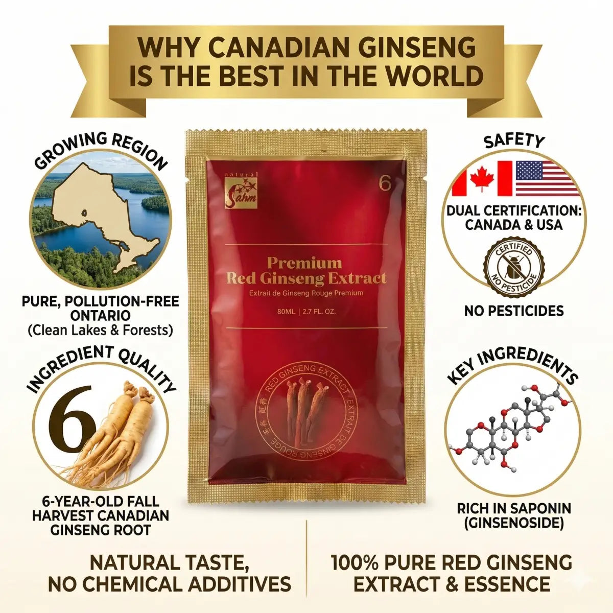 Infographic of Sahm Canadian Red Ginseng Extract: 6-year-old Ontario harvest, dual Canada & USA safety certification, no pesticides, and rich in saponin (ginsenosides).