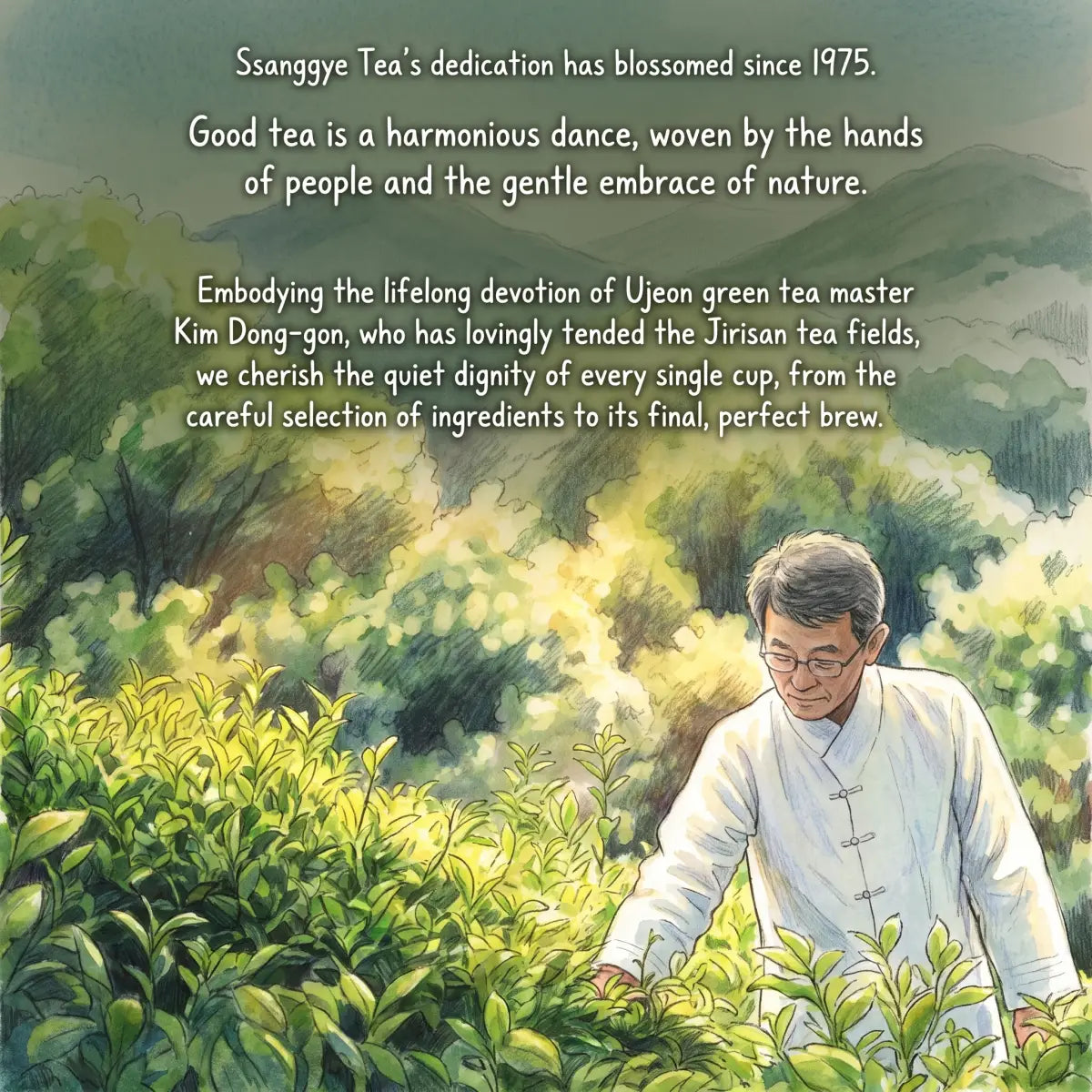 Ssanggye — Korean tea brand from Hadong founded by Food Grand Master Kim Dong-gon
