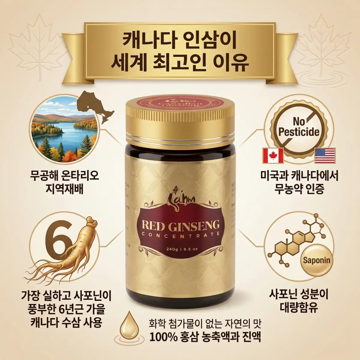 Infographic showing benefits of Sahm Canadian Premium Red Ginseng Concentrate, a popular vitamin and supplement for health.