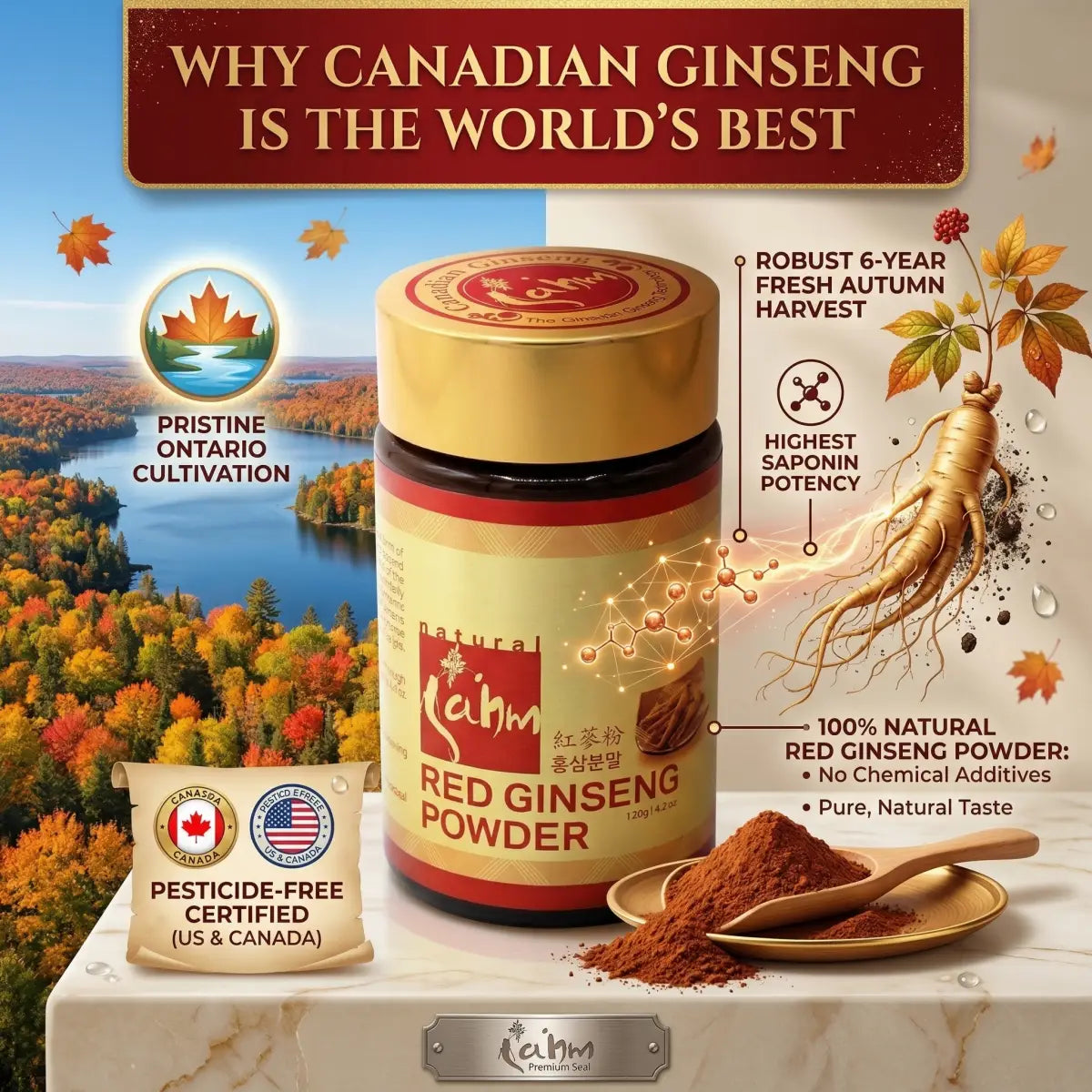 Infographic showing benefits of Sahm Canadian Red Ginseng Powder, a popular vitamins and supplements product.